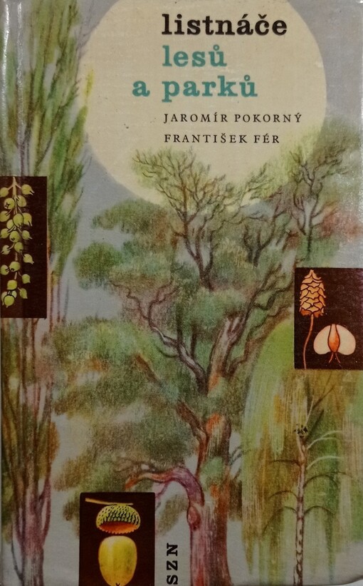 Listnáče lesů a parků