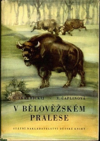 V Bělověžském pralese