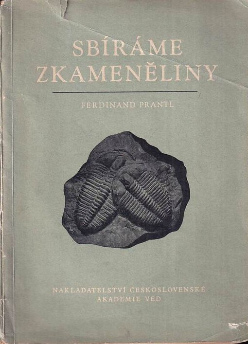 Sbíráme zkameněliny