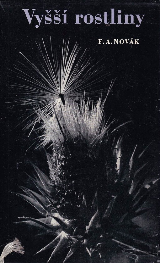 Vyšší rostliny. Tracheophyta