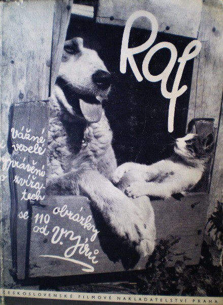 Raf :obrázkový deník bernardýna Rafa, kočky Míny a malé Krasavice, foxteriéra Ferdy a jejich přátel