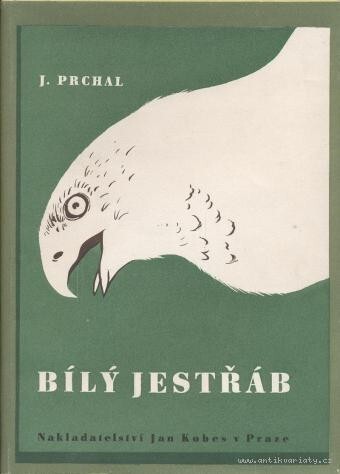 Bílý jestřáb