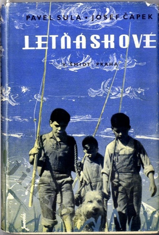 Letňáskové :knížka z prázdnin