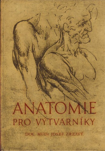 Anatomie pro výtvarníky