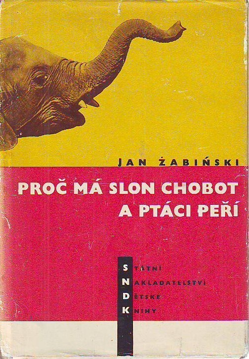 Proč má slon chobot a ptáci peří