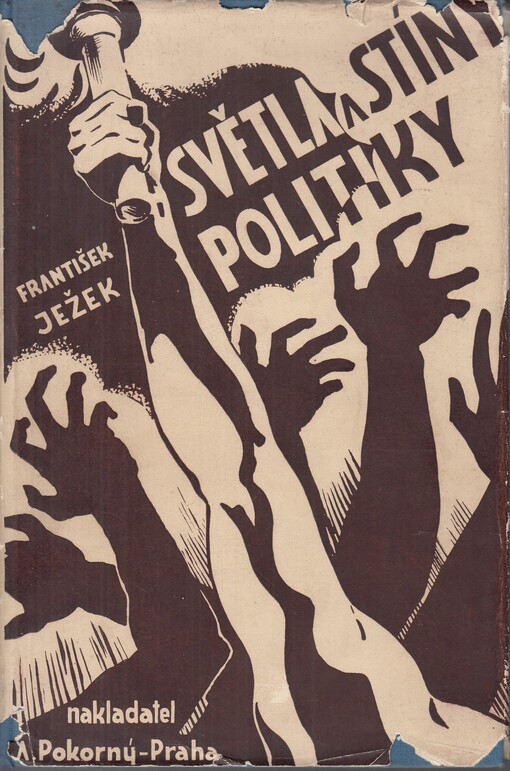 Světla a stíny politiky