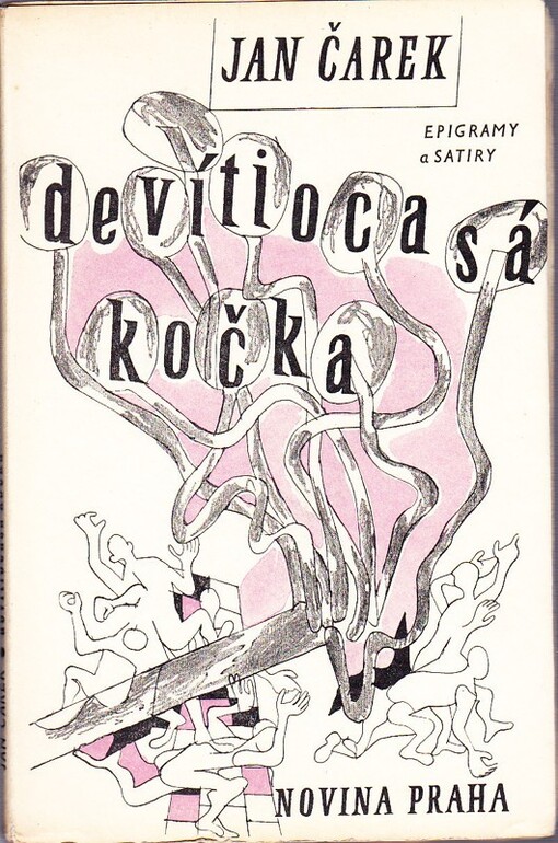 Devítiocasá kočka