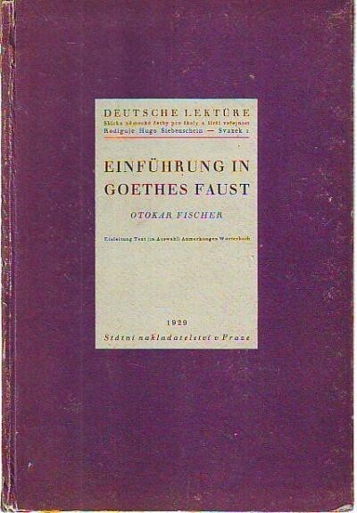 Einführung in Goethes Faust
