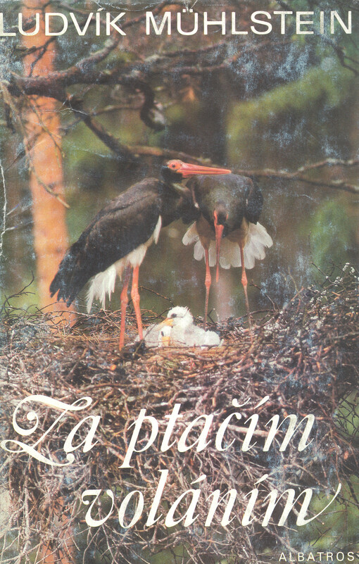 Za ptačím voláním