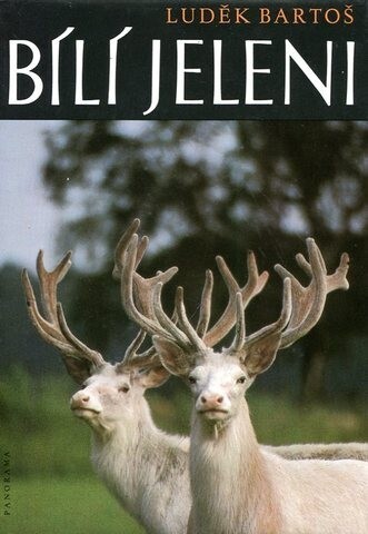 Bílí jeleni