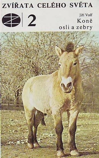 Koně, osli a zebry