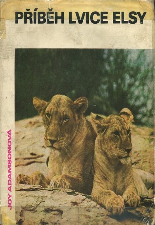Příběh lvice Elsy