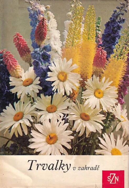 Trvalky v zahradě