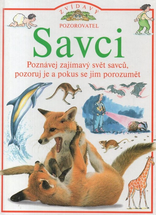 Savci