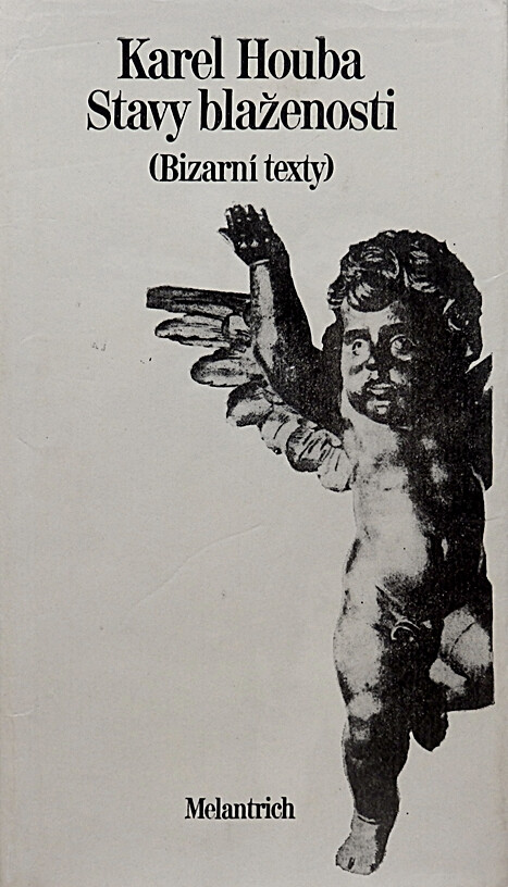 Stavy blaženosti: (bizarní texty)