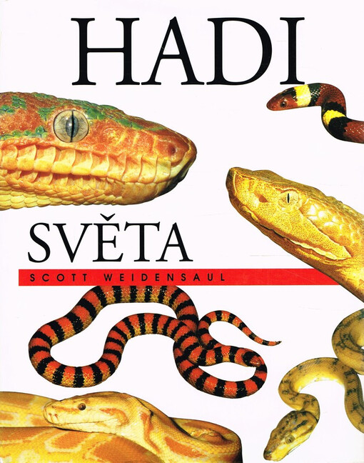 Hadi světa