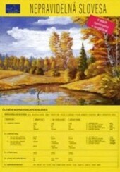 Nepravidelná slovesa a jejich synonyma v angličtině