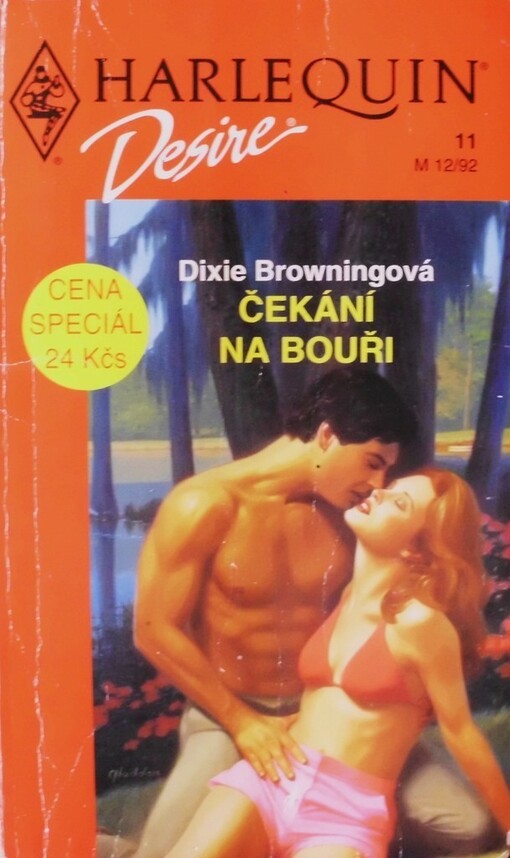 Čekání na bouři