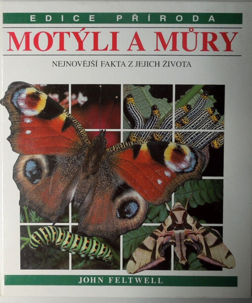 Motýli a můry