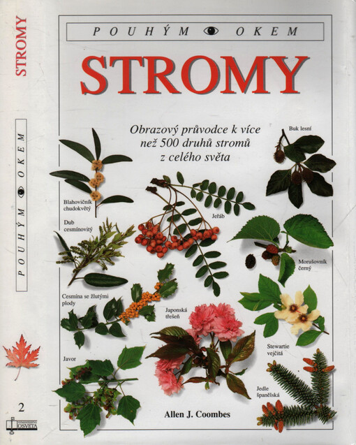 Stromy