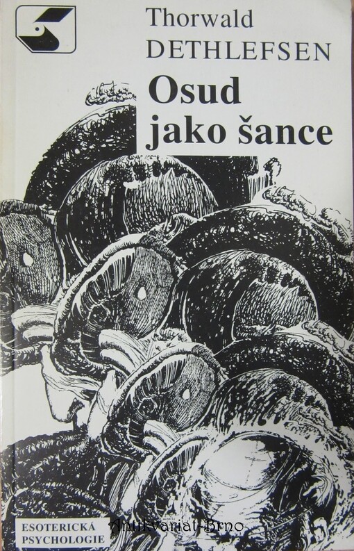 Osud jako šance: poznáním odvěké pravdy k dokonalosti člověka : esoterická psychologie