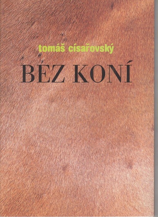 Tomáš Císařovský : bez koní : [katalog výstavy, Praha 9. října - 24. listopadu 1996