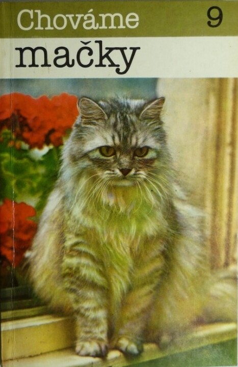 Chováme mačky.