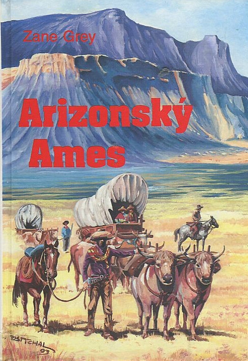 Arizonský Ames, 1. vyd.