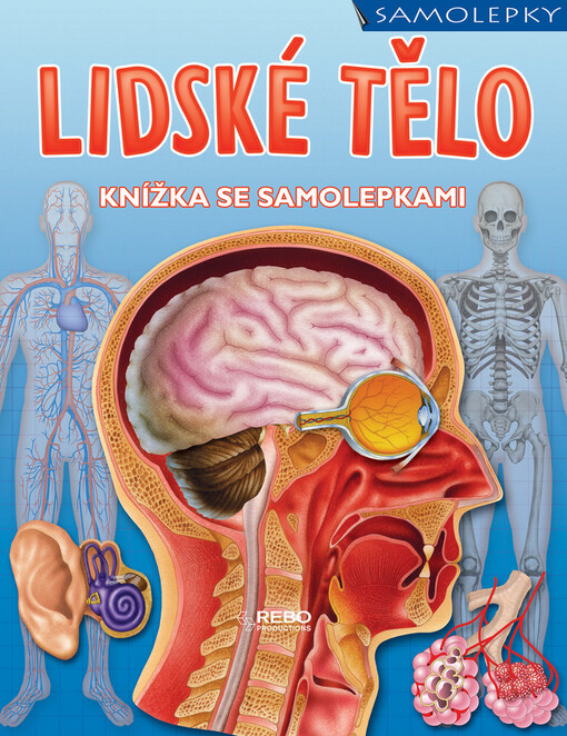 Lidské tělo : knížka se samolepkami