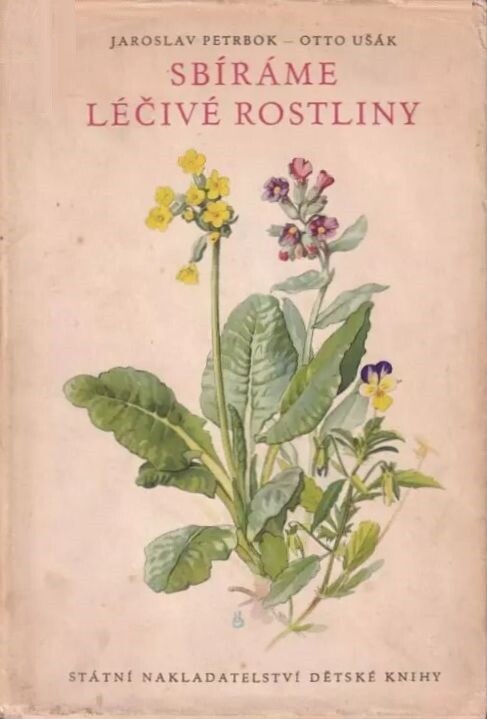 Sbíráme léčivé rostliny