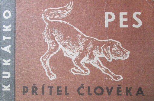 Pes, přítel člověka