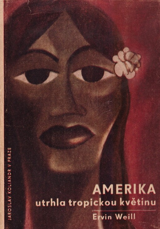 Amerika utrhla tropickou květinu :Román Havajského souostroví