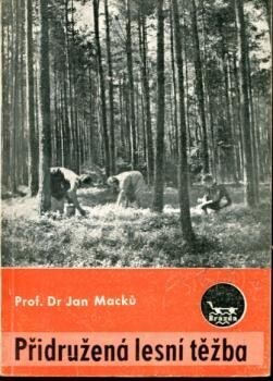 Přidružená lesní těžba