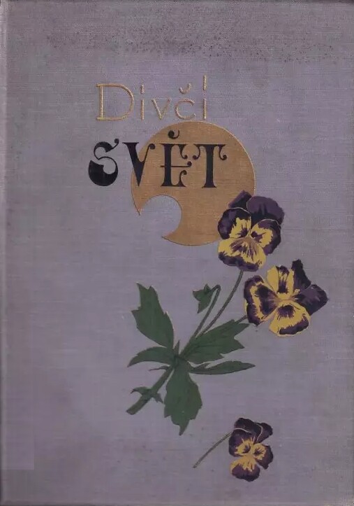 Dívčí svět