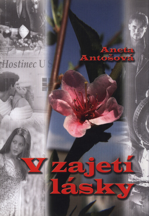 V zajetí lásky