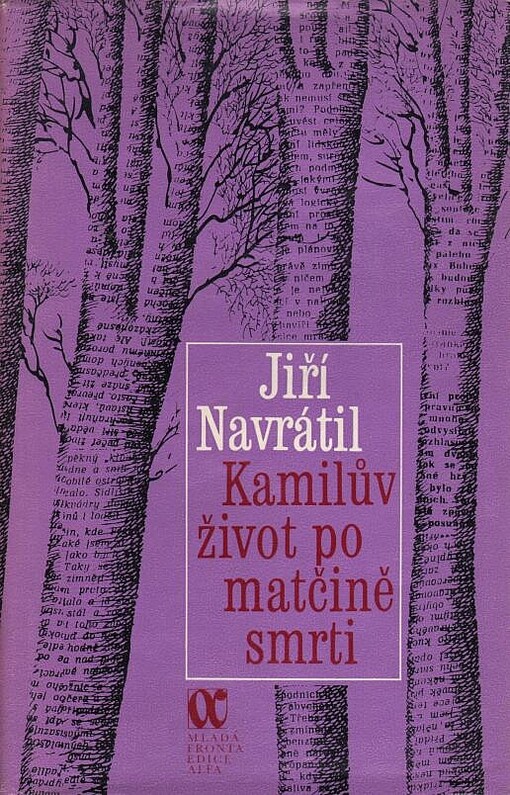 Kamilův život po matčině smrti