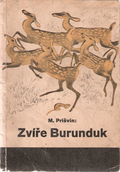 Zvíře Burunduk