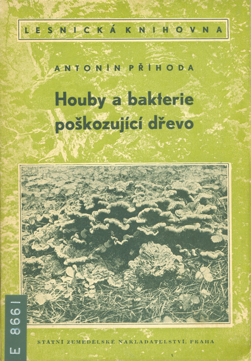 Houby a bakterie poškozující dřevo