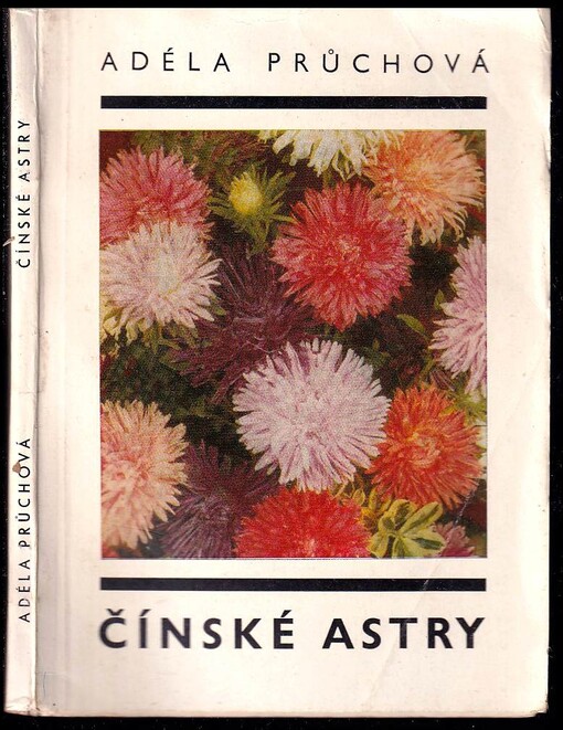 Čínské astry