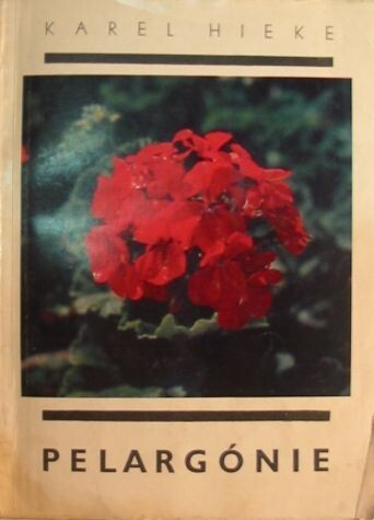 Pelargónie