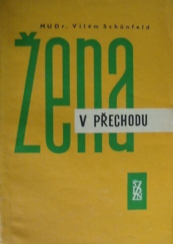 Žena v přechodu