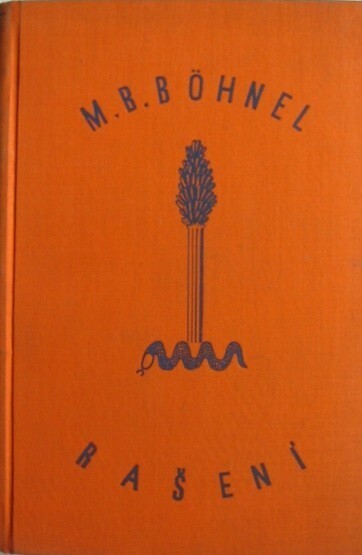 Rašení :příběh jednoho školního roku