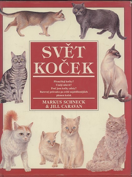 Svět koček