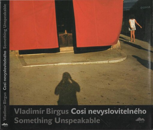 Vladimír Birgus : cosi nevyslovitelného = something unspeakable