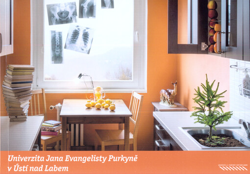 Univerzita Jana Evangelisty Purkyně v Ústí nad Labem