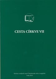 Cesta církve VII