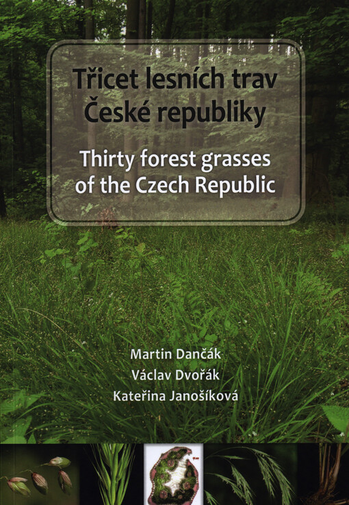 Třicet lesních trav České republiky / Thirty forest grasses of the Czech Republic