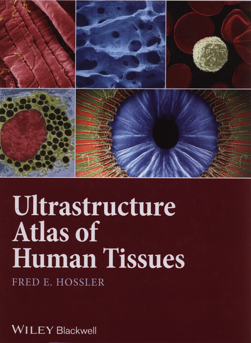 Ultrastructure atlas of human tissues