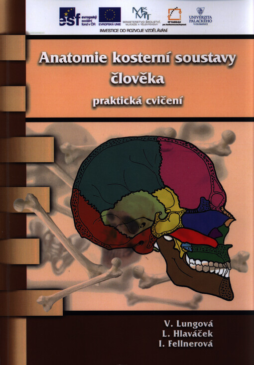 Anatomie kosterní soustavy člověka - praktická cvičení