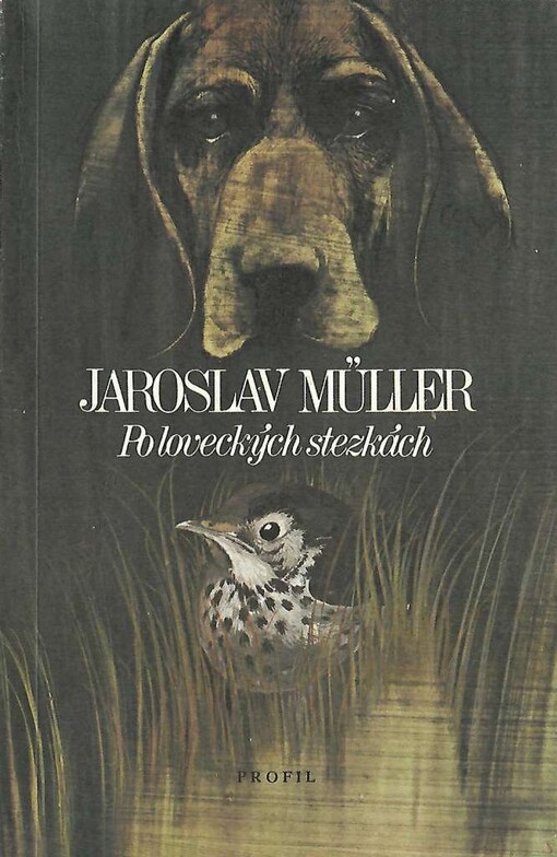 Po loveckých stezkách